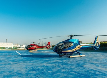Things to do in Abu Dhabi