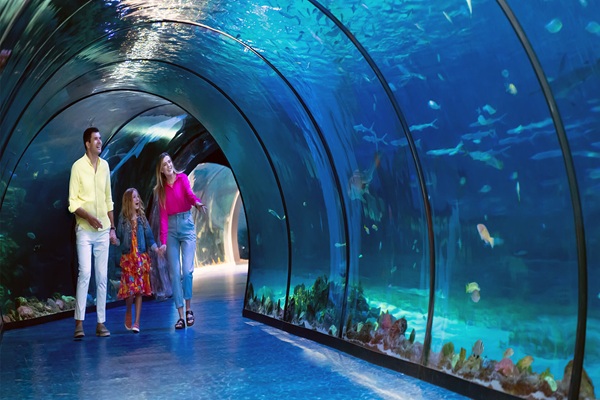 The National Aquarium Abu Dhabi is one of the largest aquariums in the Middle East and is home to 46,000 animals spread across 10 zones. The National Aquarium in Abu Dhabi